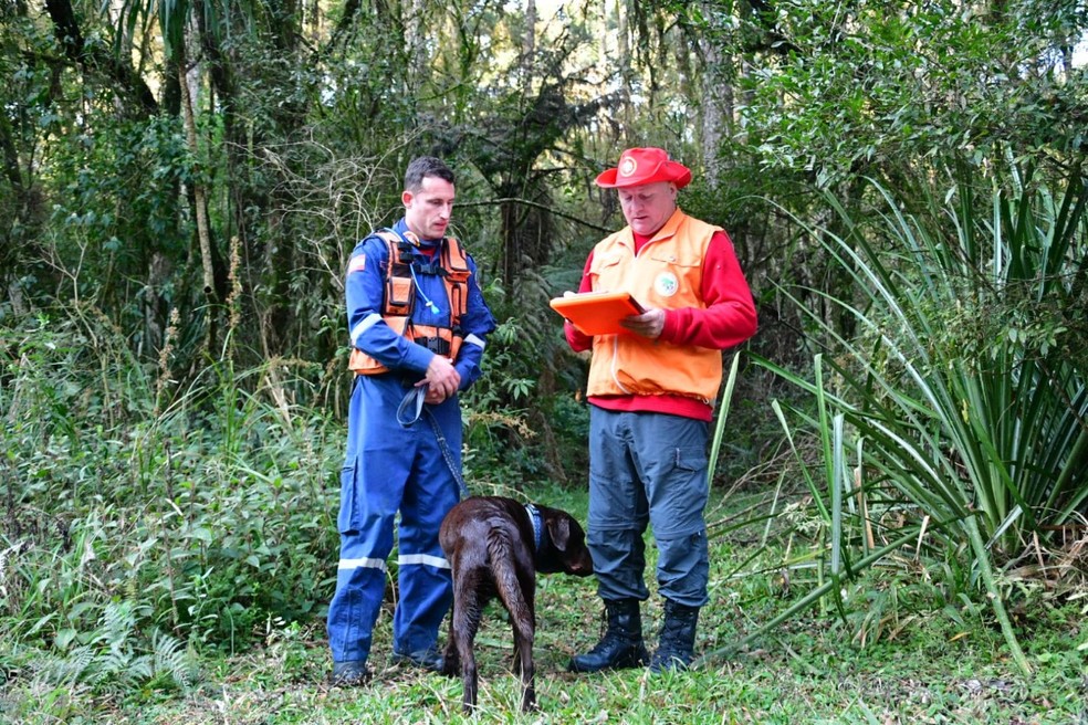 Bono é o novo cão do Corpo de Bombeiros de Criciúma