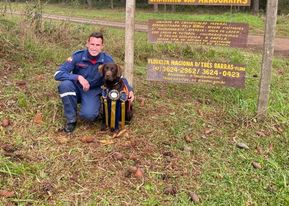 Bono é o novo cão do Corpo de Bombeiros de Criciúma