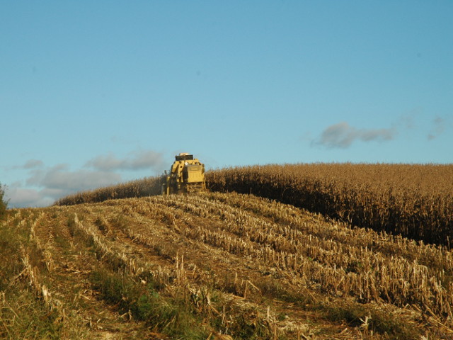 Foto: Aires Mariga / Epagri