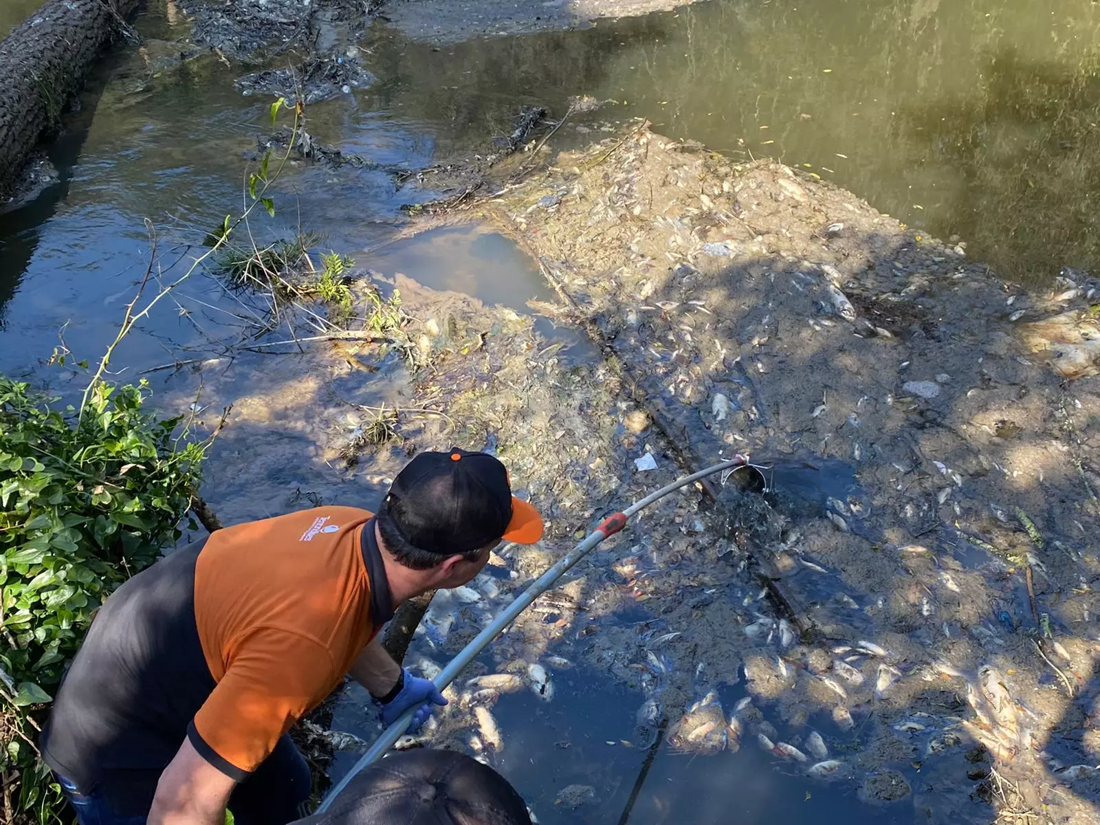 Foto: Polícia Militar Ambiental de Caçador | Divulgação