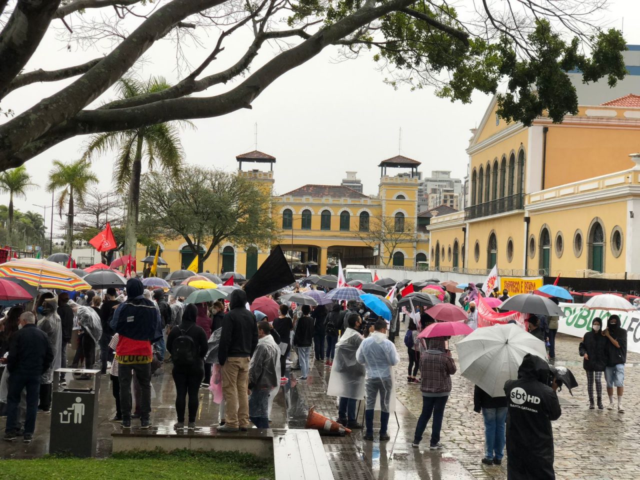 manifestação