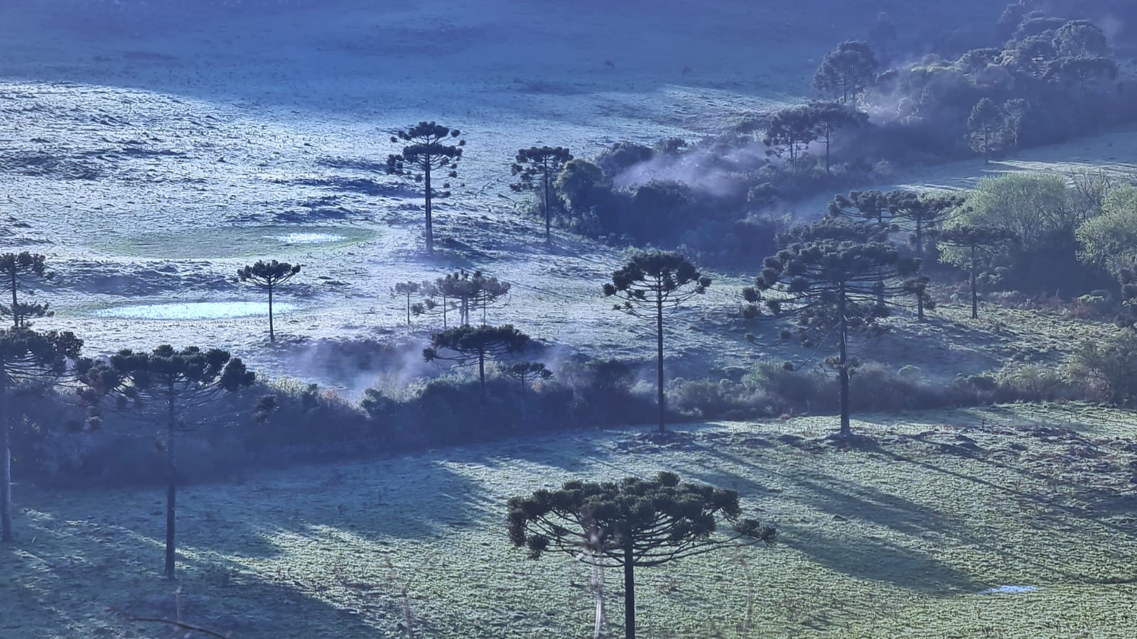 Geada-no-Vale-do-Caminhos-da-Neve-a-3km-do-Centro-de-Sao-Joaquim-1