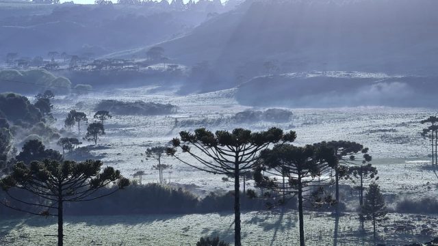 Geada-no-Vale-do-Caminhos-da-Neve-a-3km-do-Centro-de-Sao-Joaquim-1