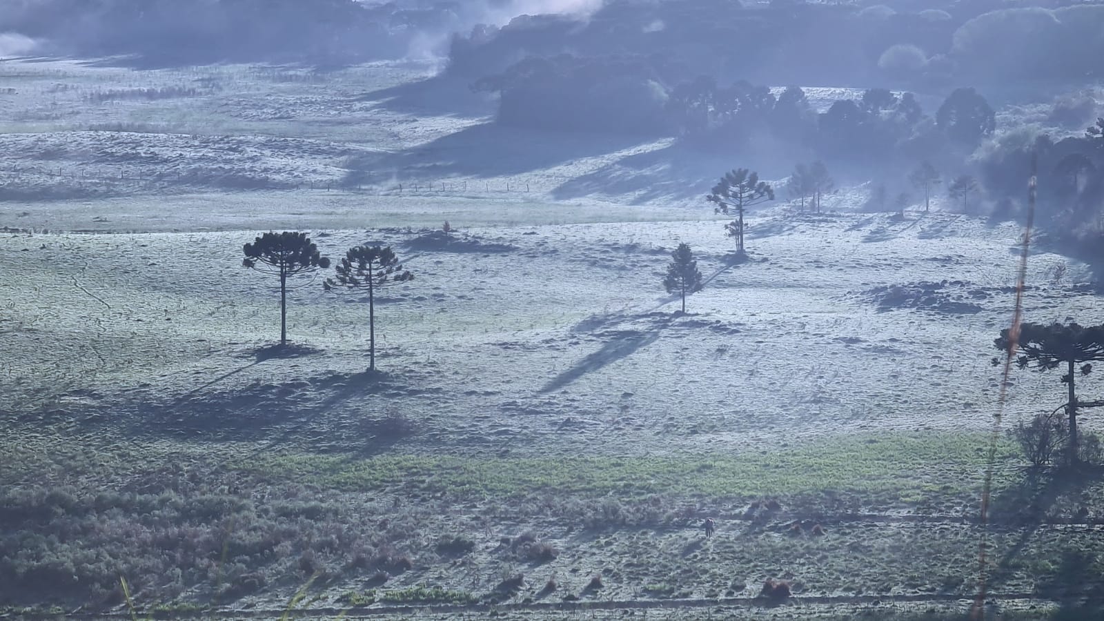 Geada-no-Vale-do-Caminhos-da-Neve-a-3km-do-Centro-de-Sao-Joaquim-1