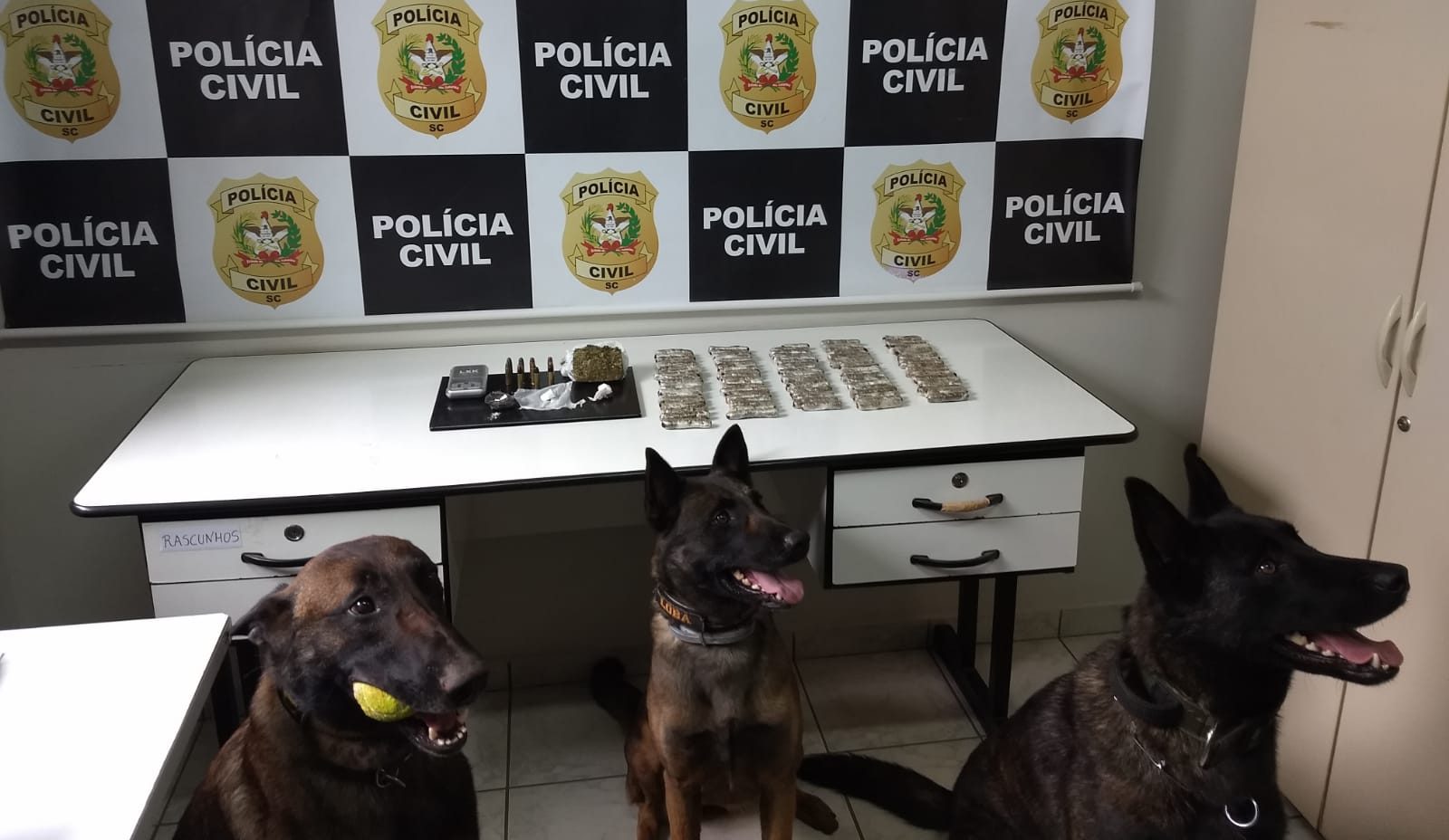 A ação contou com o apoio do Núcleo de Operações com Cães (NOC/PCSC) da Polícia Civil. Foto: Polícia Civil de Santa Catarina | Divulgação.