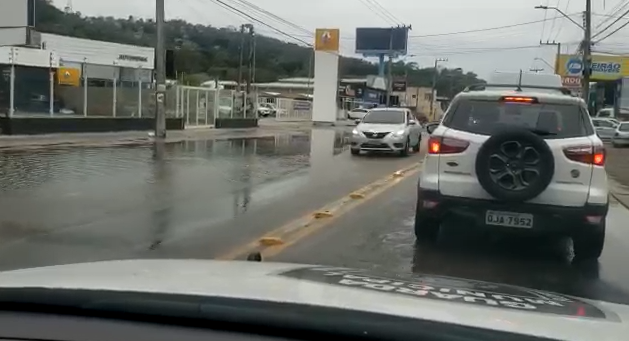 Foto: Guarda Municipal de Florianópolis/ Divulgação 