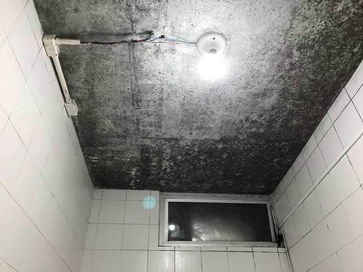 Quarto de hospital em Joinville está tomado por mofo; veja a situação (3)