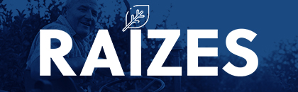 Raízes