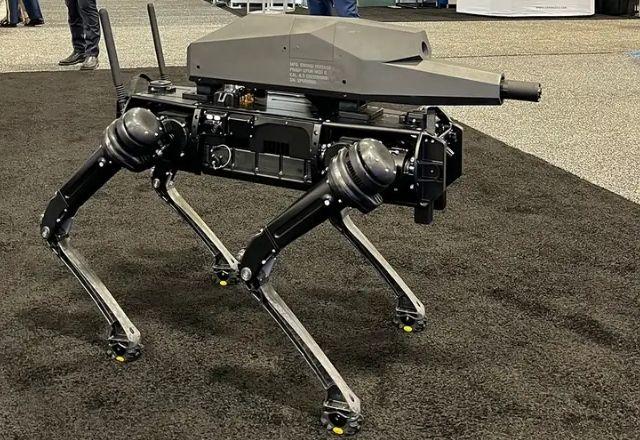 Robô cão, ROBOTS