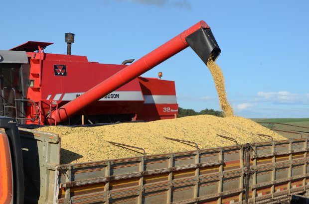 Foto: Nilson Teixeira/Epagri