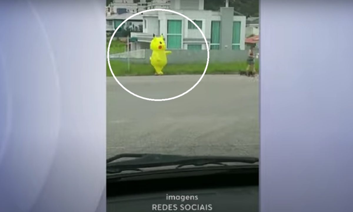 Jovem viraliza na web ao transformar cão em 'Pikachu' e sereia em SP; FOTOS, Santos e Região