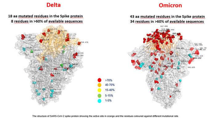 Primeira imagem da variante Ômicron mostra mais mutações que a Delta