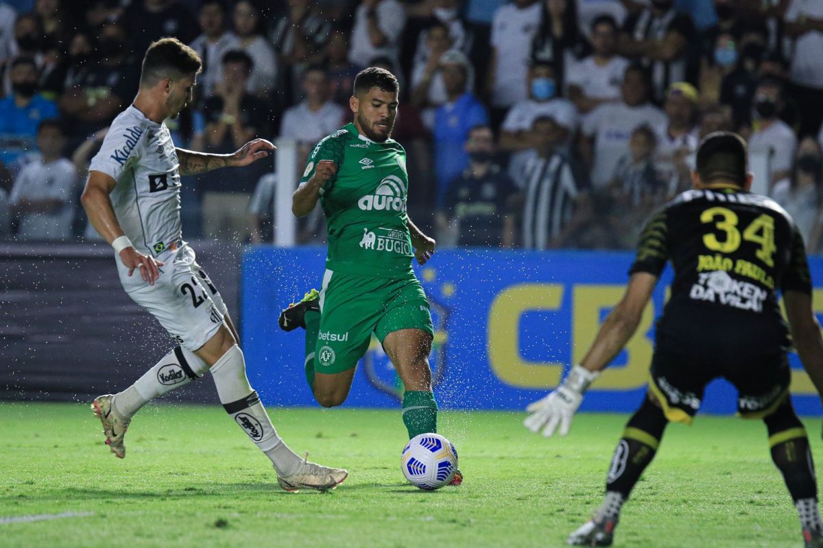 Foto: Márcio Cunha / ACF / Divulgação