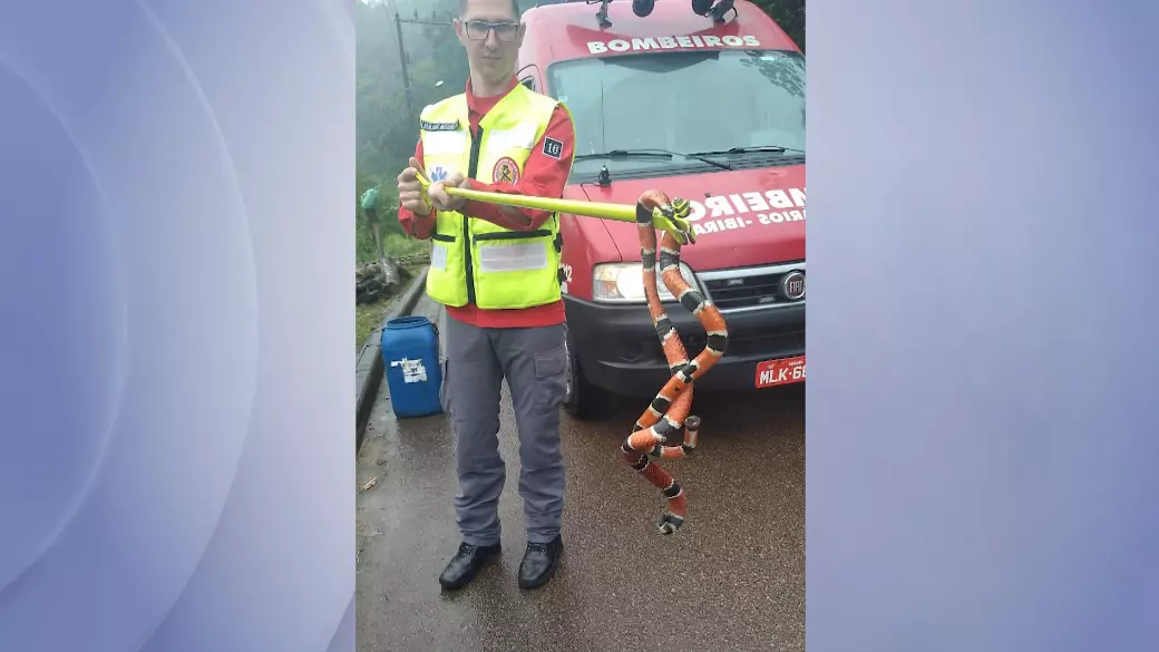 Foto: Corpo de Bombeiros Voluntários de Ibirama | Divulgação.