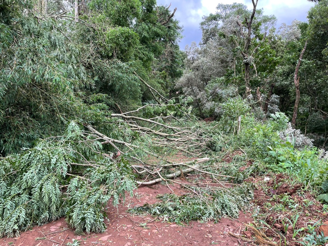 Xanxerê decretará situação de emergência em razão de temporal que