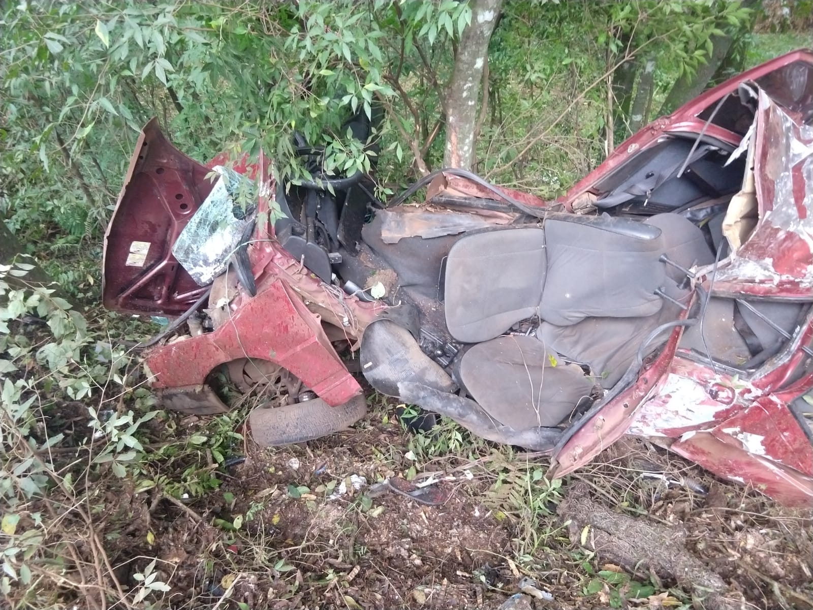 Carro bateu contra uma árvore na BR-282. Foto: Corpo de Bombeiros de Pinhalzinho, Divulgação 