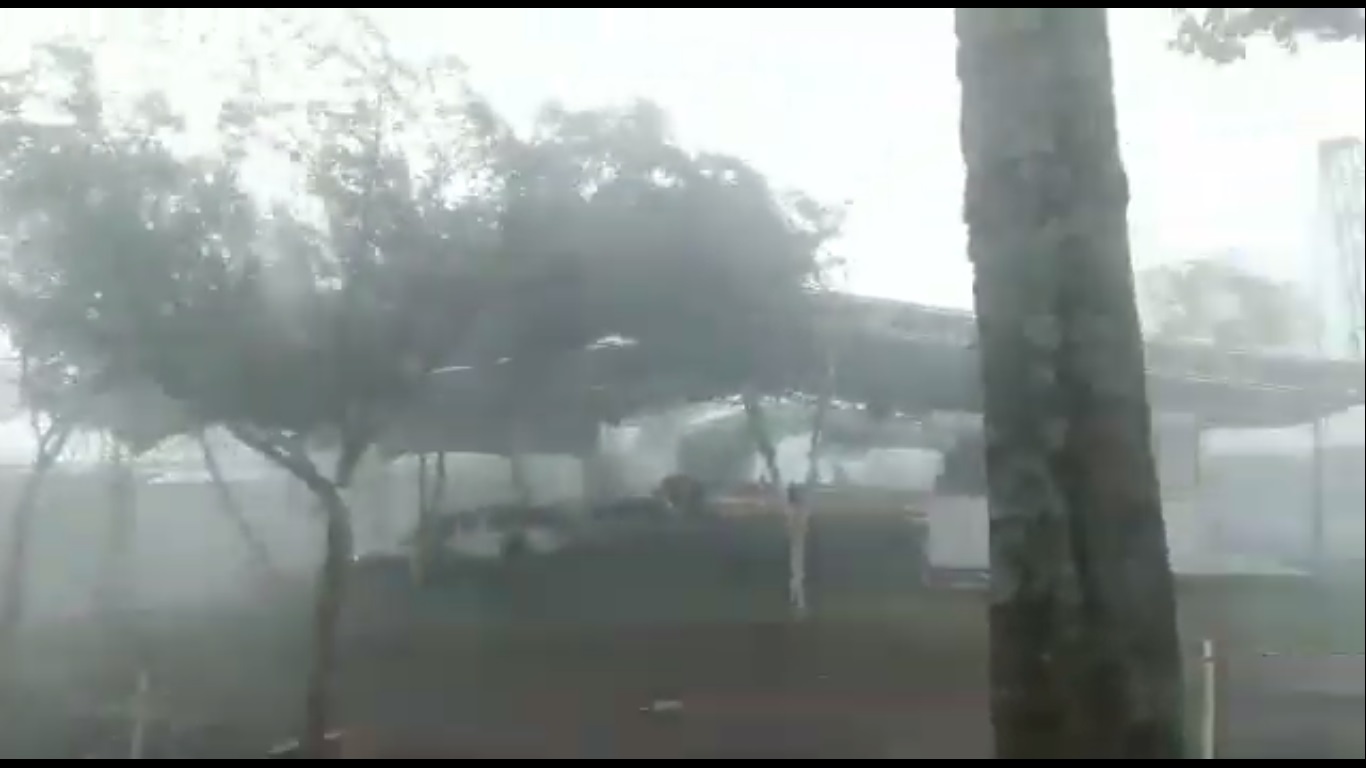 VÍDEO: Temporal destelha 19 casas e derruba árvores em Pinhalzinho; veja fotos