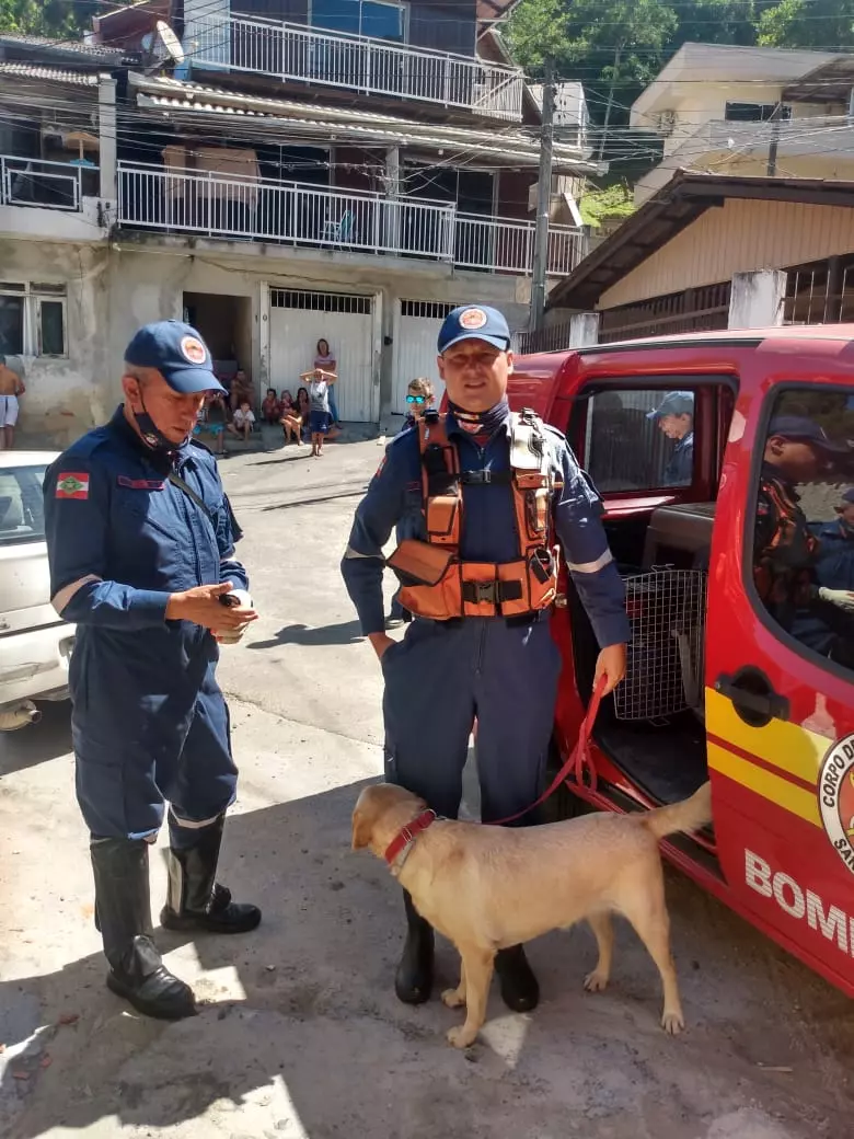 Corpo de Bombeiros SC\Reprodução