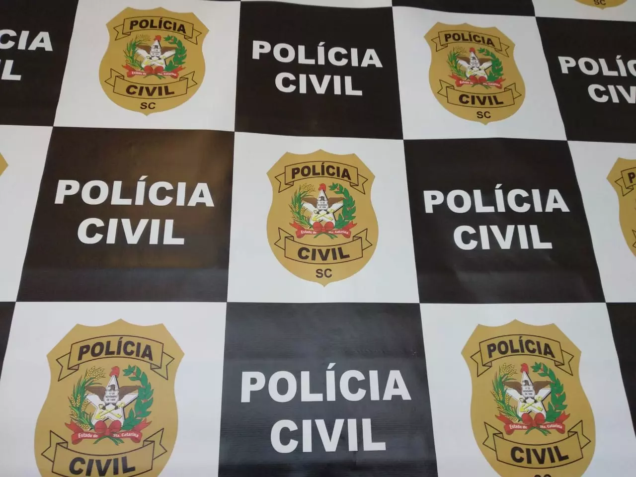 Foto divulgação Polícia Civil 