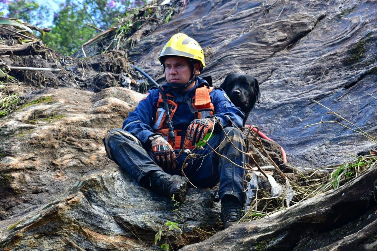 Cães catarinenses já localizaram sete vítimas soterradas em Petrópolis