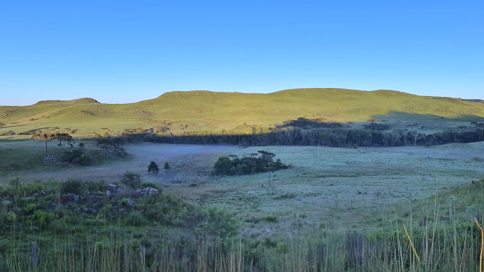 FOTOS-Serra-catarinense-registra-nova-geada-em-pleno-verao-3