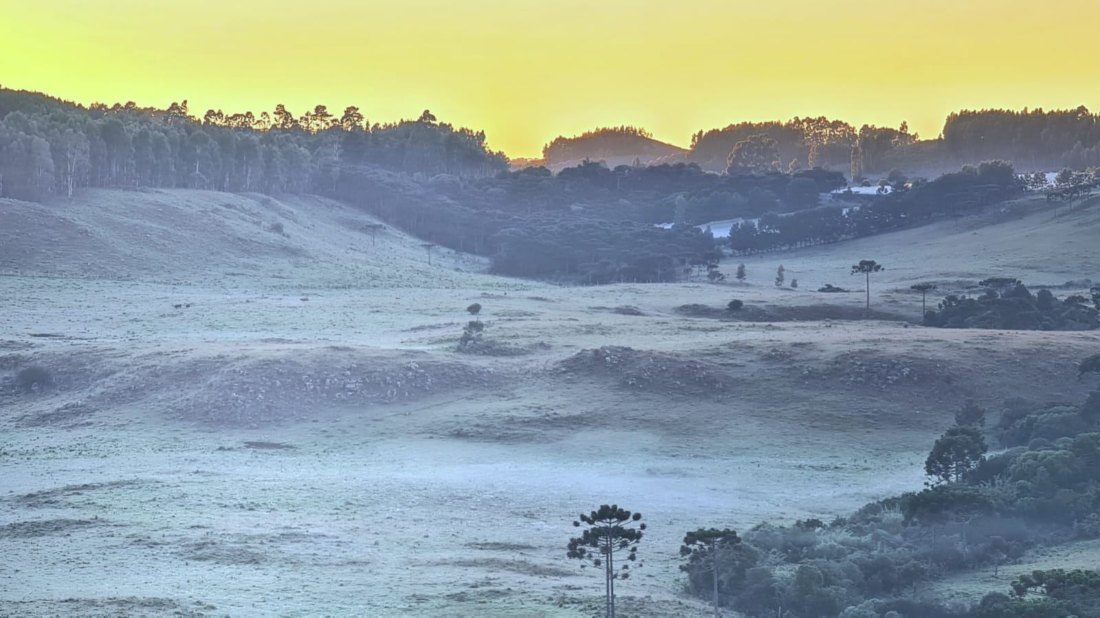 FOTOS-Serra-catarinense-registra-nova-geada-em-pleno-verao-5