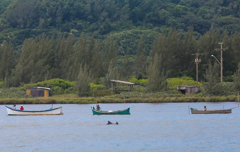 Em Laguna, dois projetos atenderão 30 famílias de pescadores, além de gerar emprego e renda – Foto: Julio Cavalheiro / Secom 