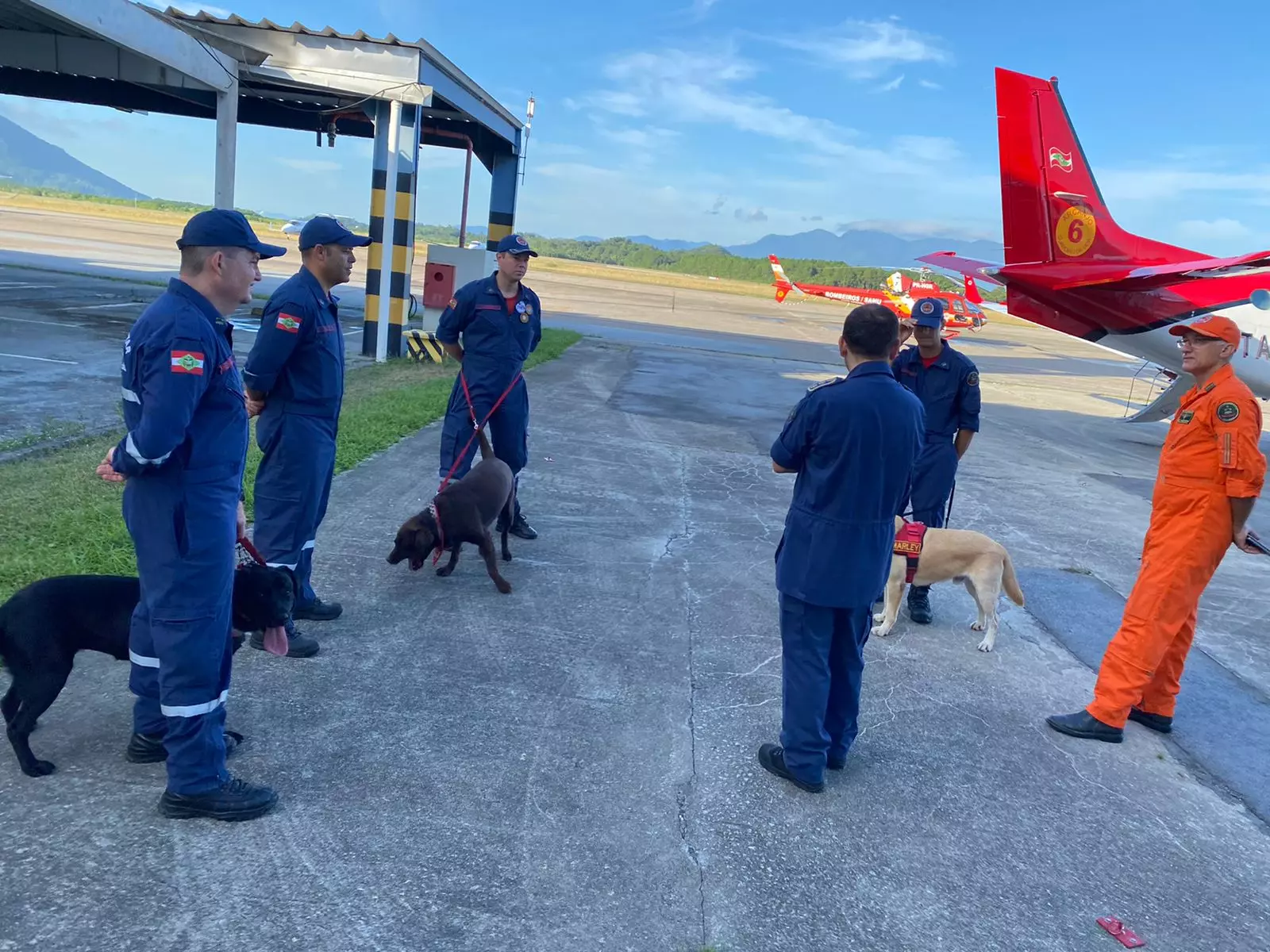 Foto: Corpo de Bombeiros | Divulgação