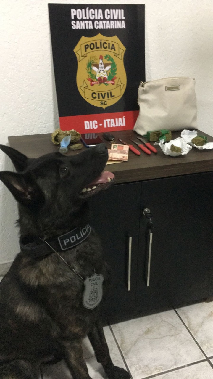 Foto: Polícia Civil