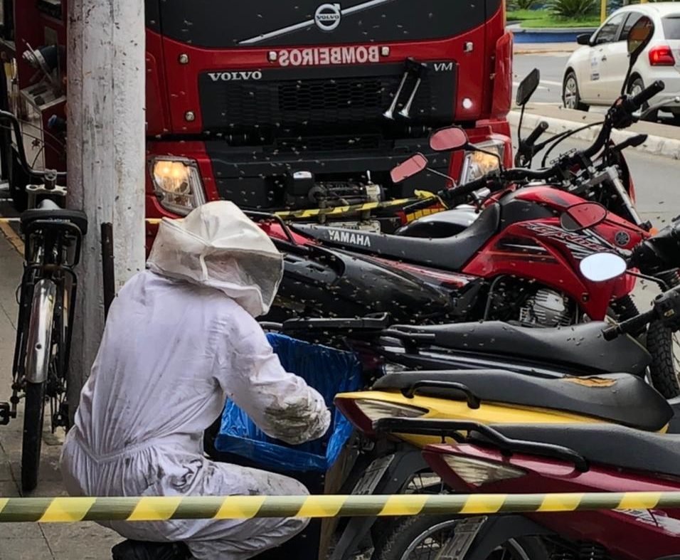 Foto: Corpo de Bombeiros Militar de Tubarão, divulgação