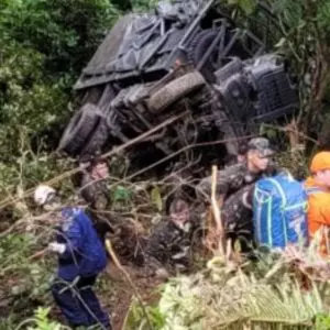 Caminhão do Exército Brasileiro estava com 40 militares | Foto: divulgação/internet