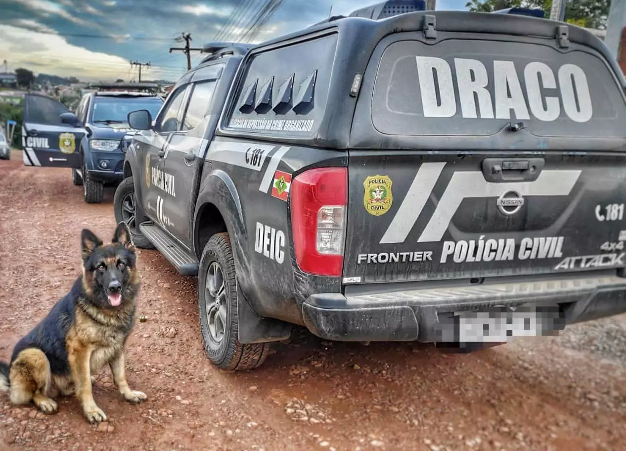 Foto: Polícia Civil/Divulgação 