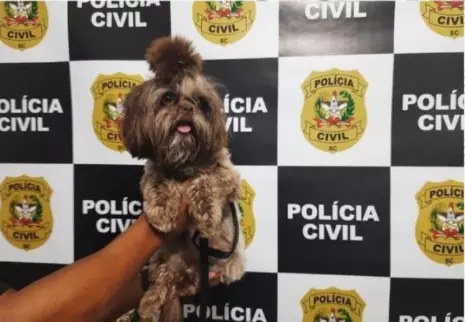 Foto: Polícia Civil\Divulgação