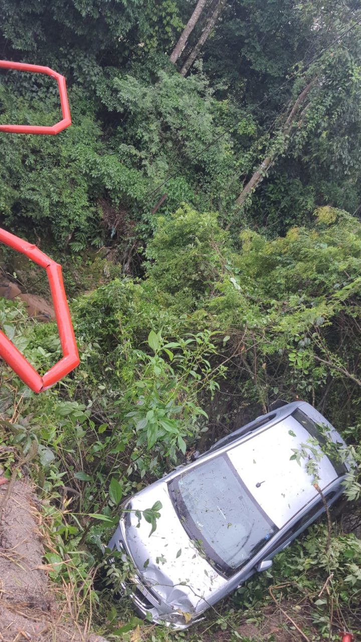 Carro fica pendurado em árvores após veículo cair de ponte (2)