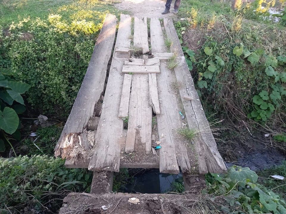 Égua prenha cai de ponte e morre em Lages (1)