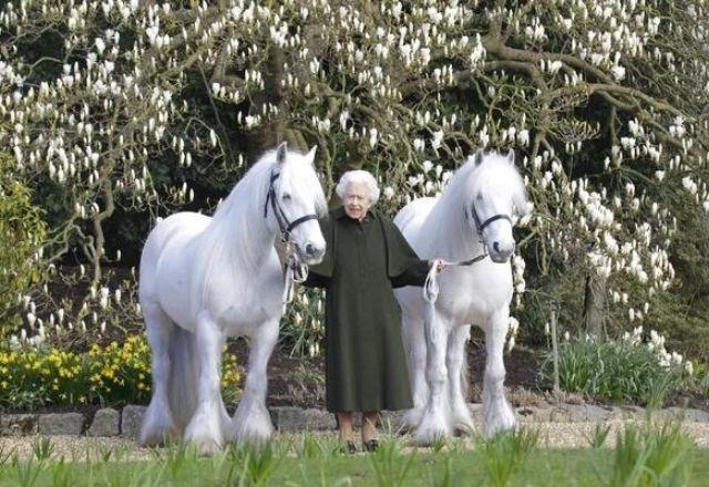 Monarca nasceu em 21 de abril de 1926 com o nome de Elizabeth Alexandra Mary | Divulgação/Royal Windsor Horse Show