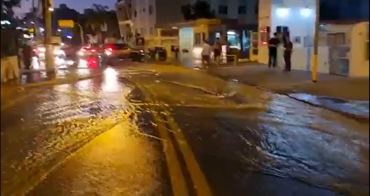 Foto: Guarda Municipal de Florianópolis | Divulgação