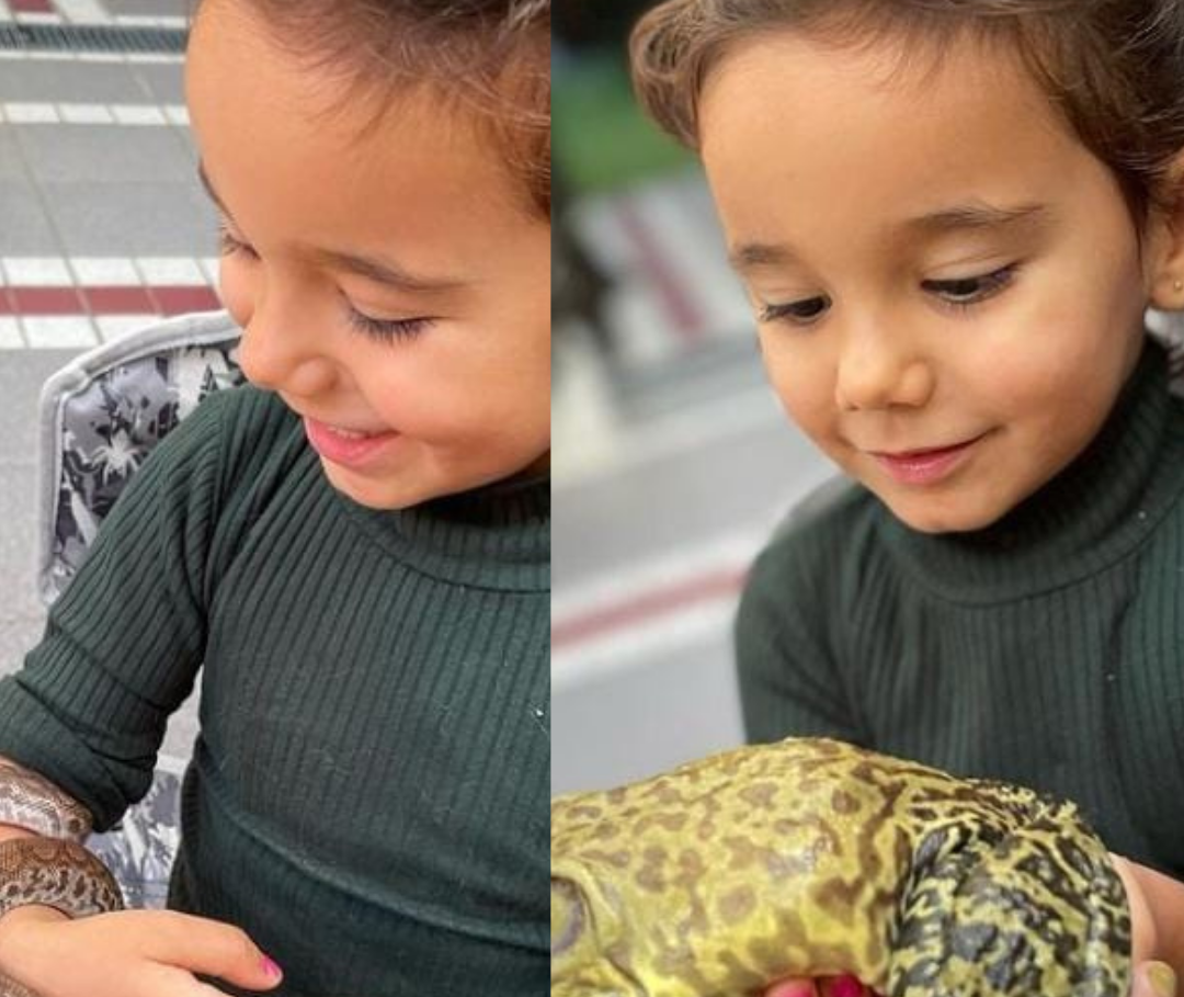 Ticiane Pinheiro deixa filha segurar cobra. Foto: Reprodução/Instagram