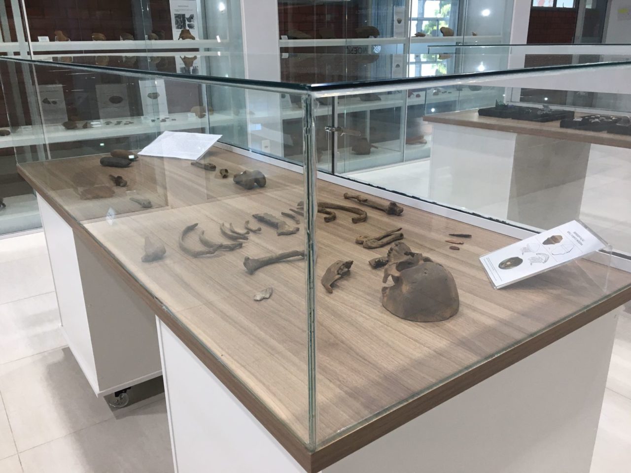 Centro arqueológico da Unoesc reúne história da Serra e Meio-Oeste catarinense