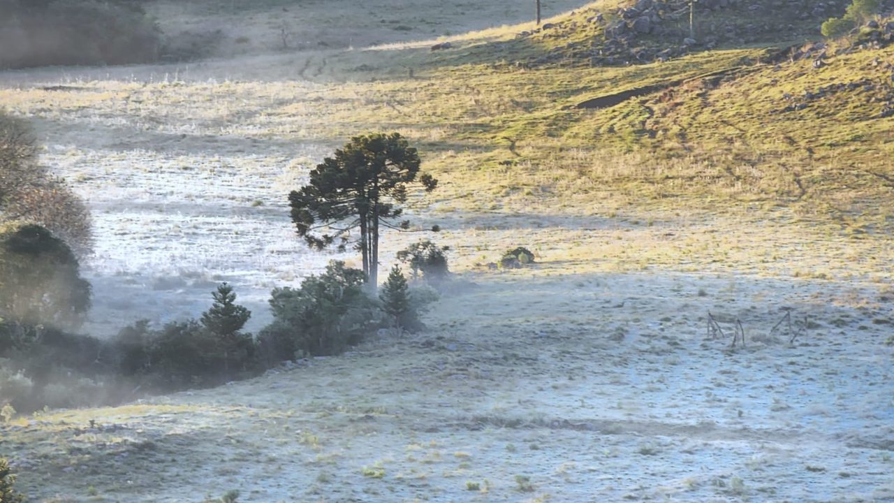 GALERIA Temperatura abaixo de zero e campos branquinhos na Serra Catarinense (2)