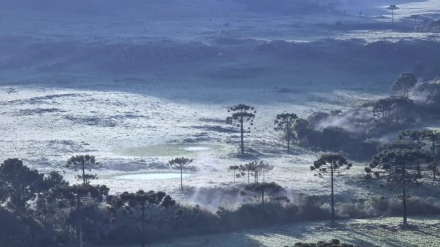 A friaca vai voltar em Santa Catarina; veja quando