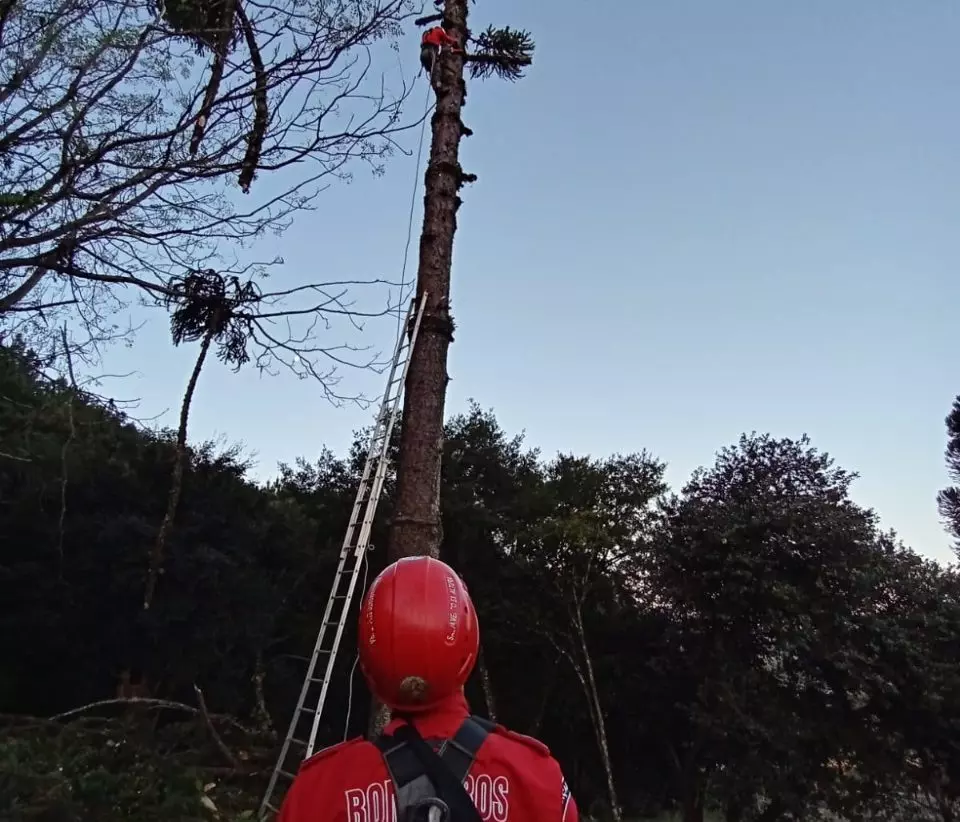 Foto: Corpo de Bombeiros Voluntários de Caçador | Divulgação.