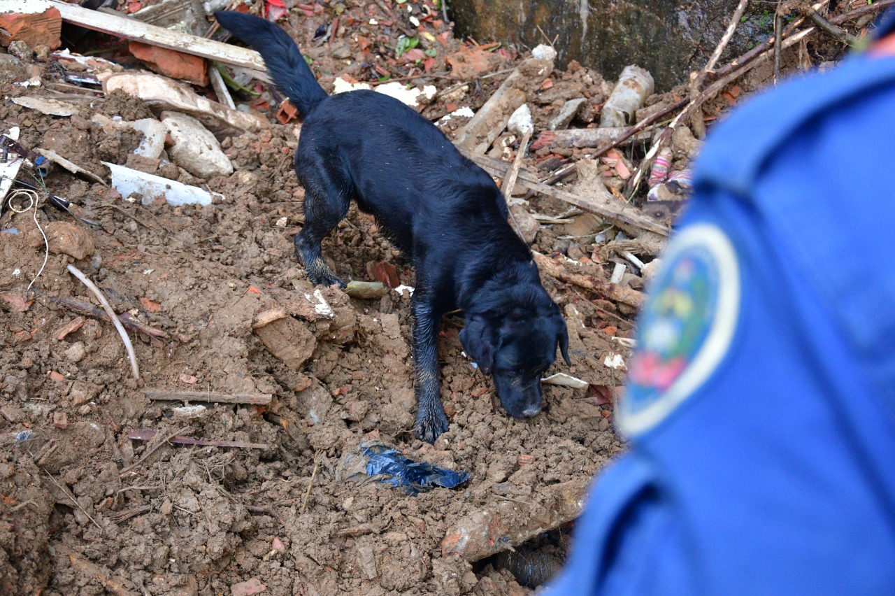 Militares e cães de SC irão atuar nas buscas por desaparecidos em Pernambuco