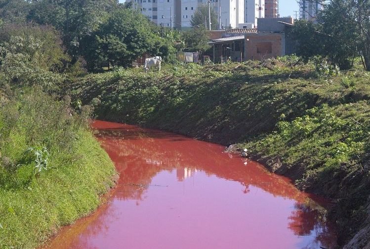 Rio amanhece vermelho após vazamento de produto químico em empresa