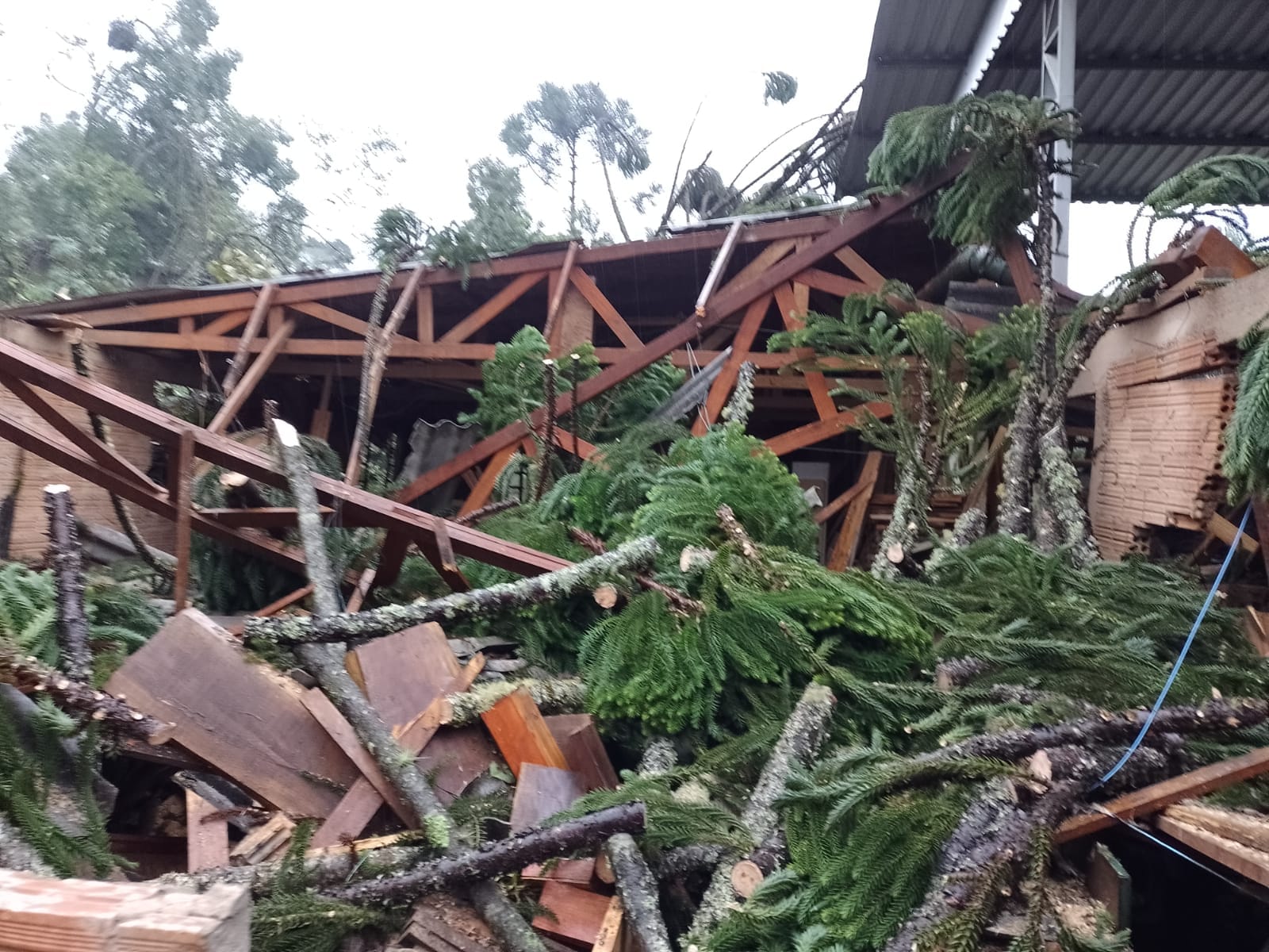 Foto: Defesa Civil de Campo Alegre / Divulgação