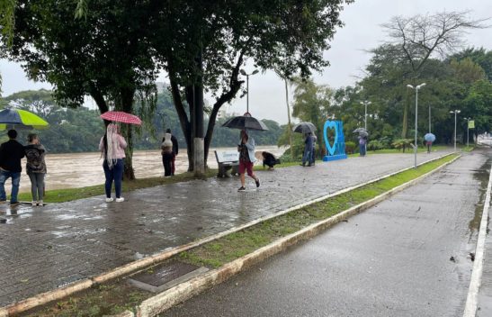 Quarta-feira deve ter ventos intensos em SC; veja previsão do tempo