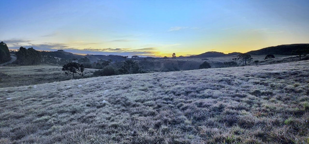 Temperatura em SC chegou a -6,6º; veja até quando a friaca fica pelo Estado