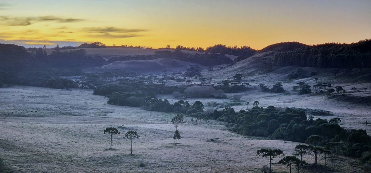 Temperatura em SC chegou a -6,6º; veja até quando a friaca fica pelo Estado