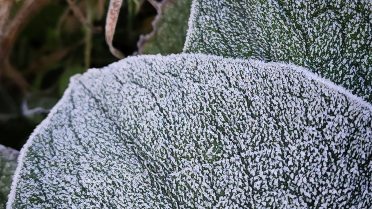 Temperatura em SC chegou a -6,6º; veja até quando a friaca fica pelo Estado