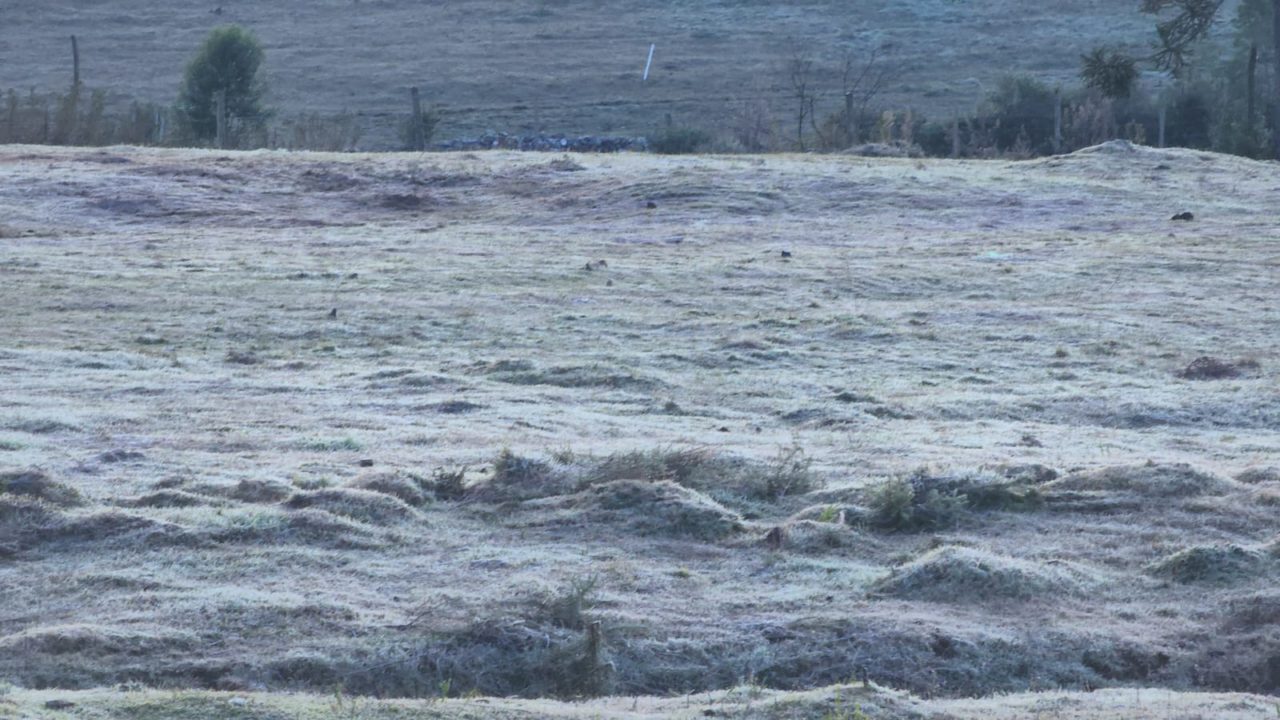 Temperatura em SC chegou a -6,6º; veja até quando a friaca fica pelo Estado